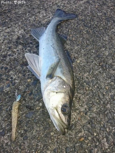 �����Х�