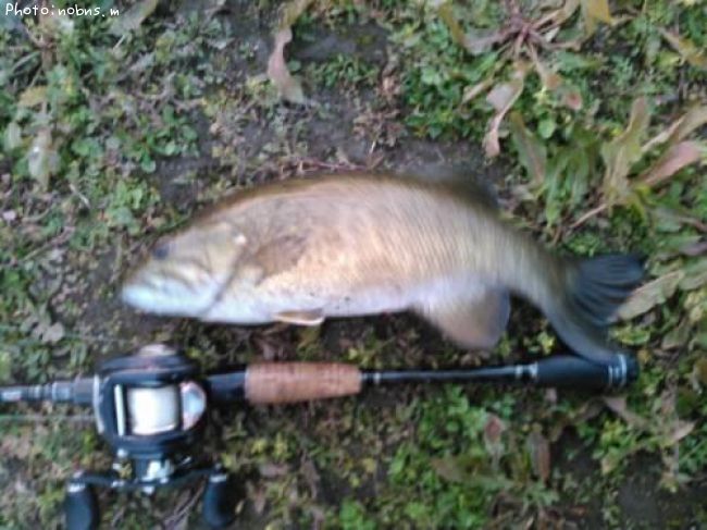 �֥�å��Х�