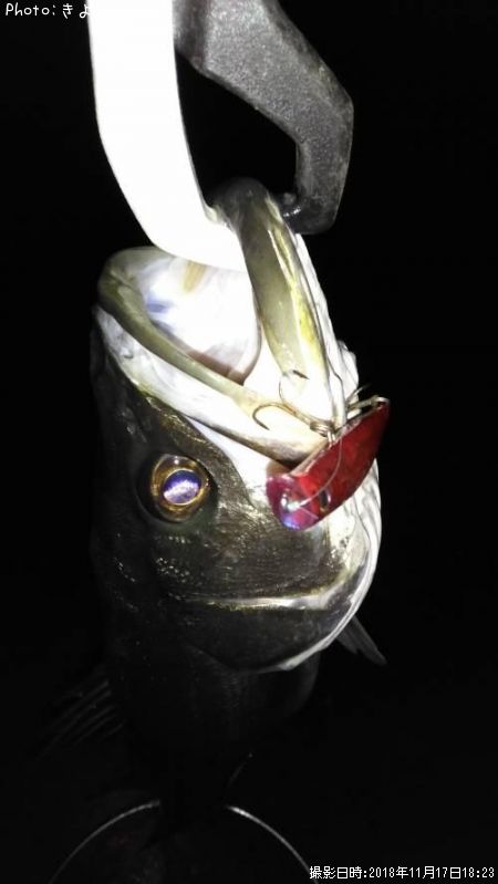 �����Х�