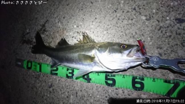 �����Х�