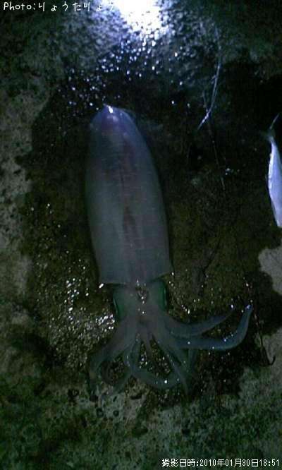 �����ꥤ��