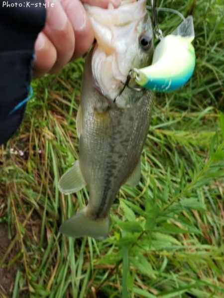 �֥�å��Х�