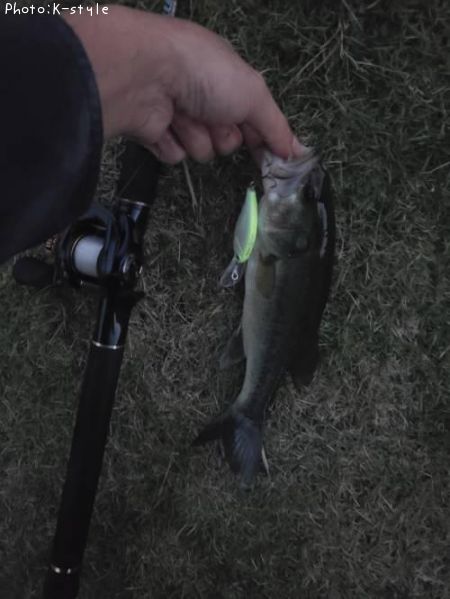 �֥�å��Х�