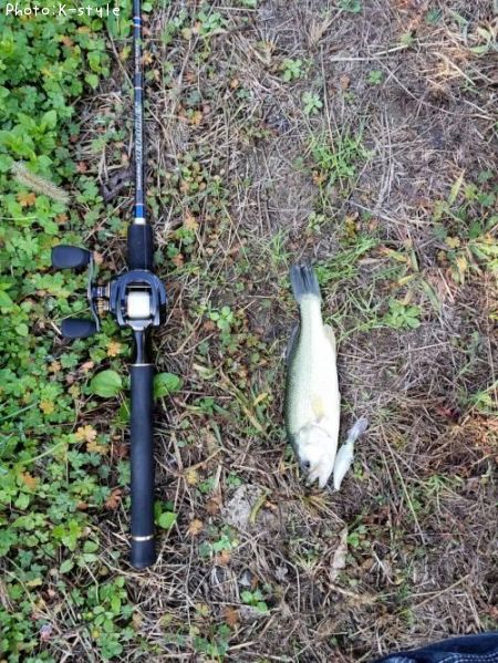 �֥�å��Х�