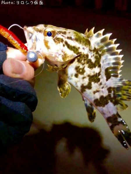 �����Υ���Х�