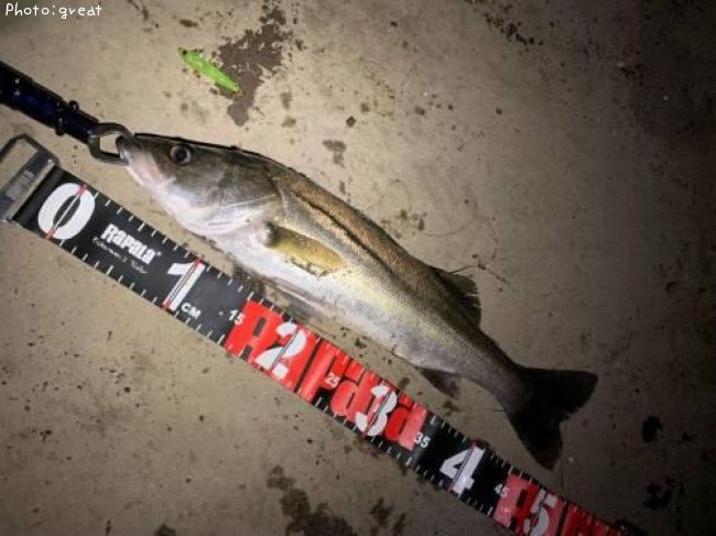 �����Х�