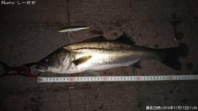 �����Х�