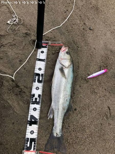 �����Х�