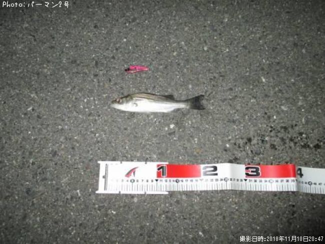 �����Х�