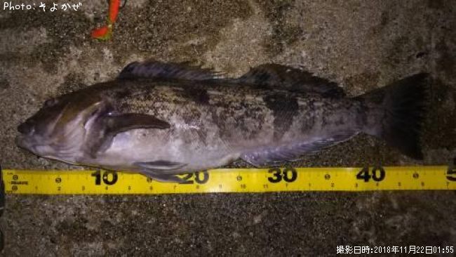 �����ʥ�