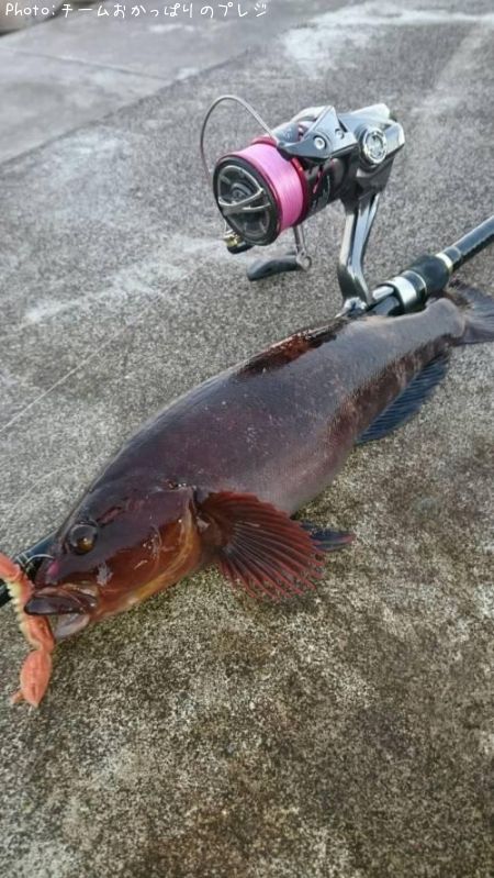 �����ʥ�