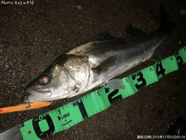 �����Х�