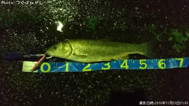 �ޥ륿������