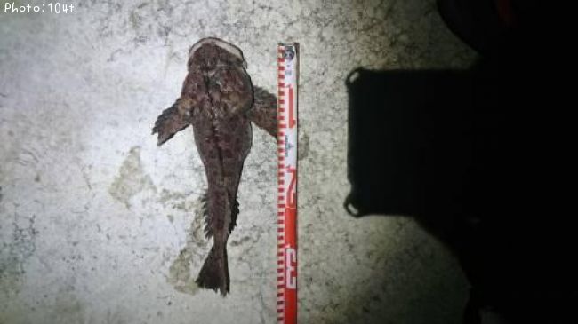 ���ॷ������