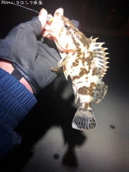 �����Υ���Х�