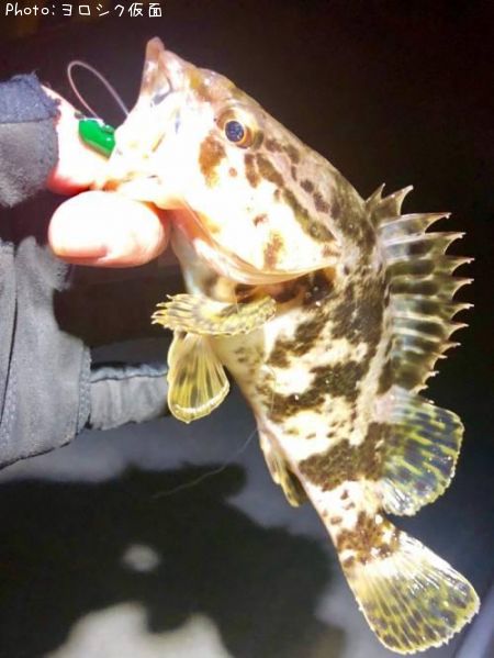 �����Υ���Х�