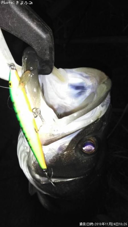 �����Х�