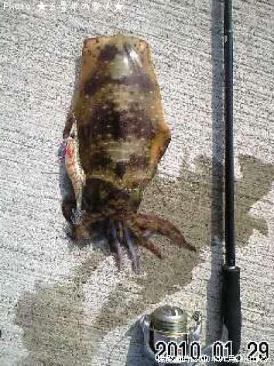 �����ꥤ��