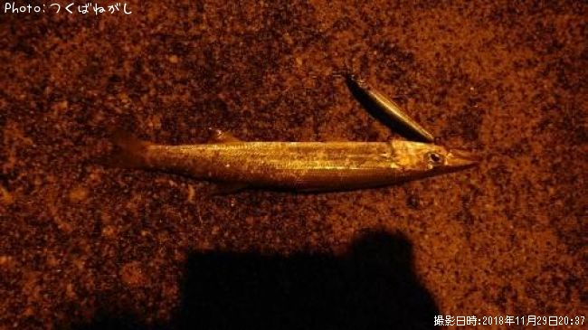 �������ޥ�