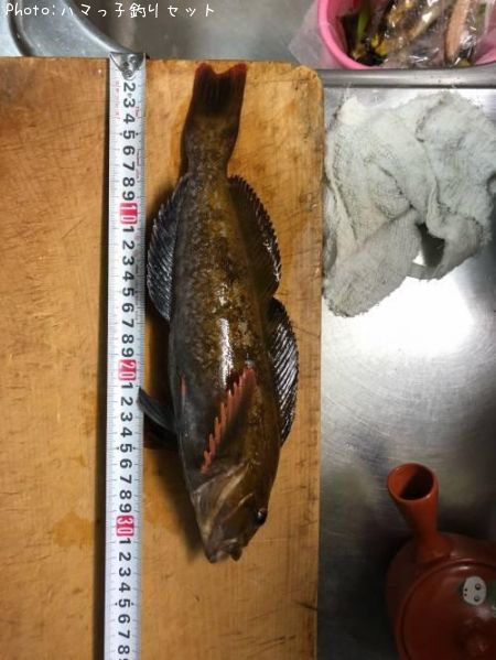 �����ʥ�