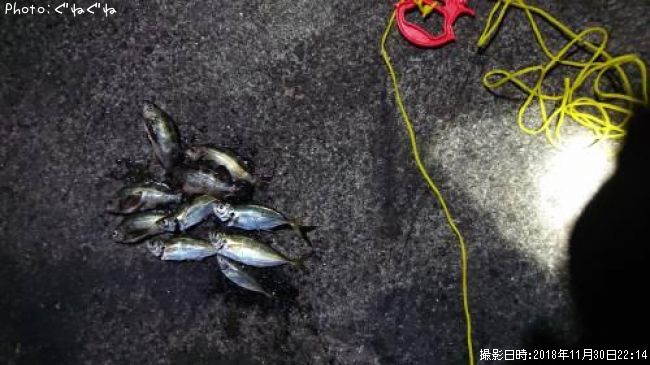 �����ȥ�Х�