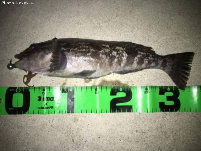 �����ʥ�