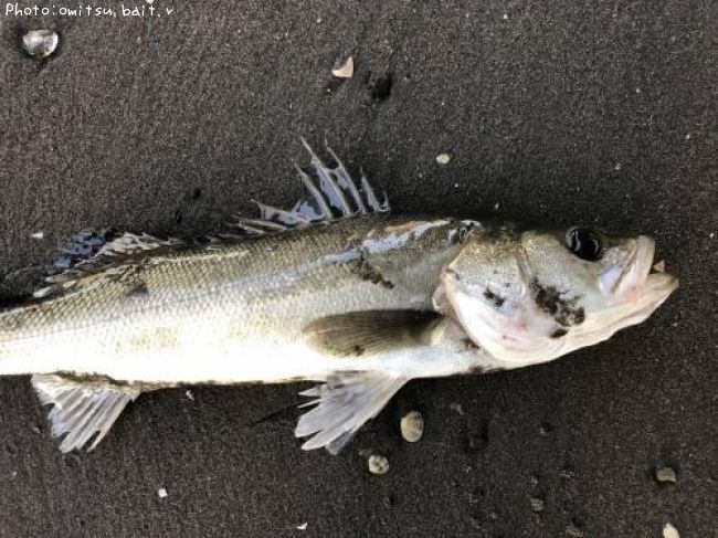 �����Х�