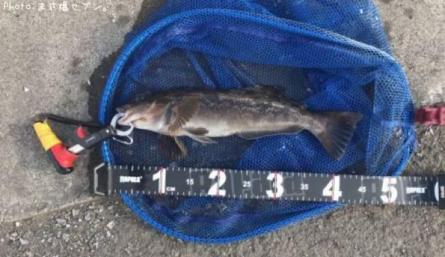 �����ʥ�