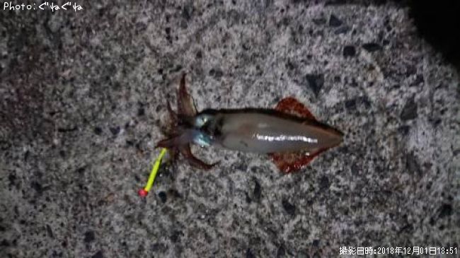 ���󥵥�����