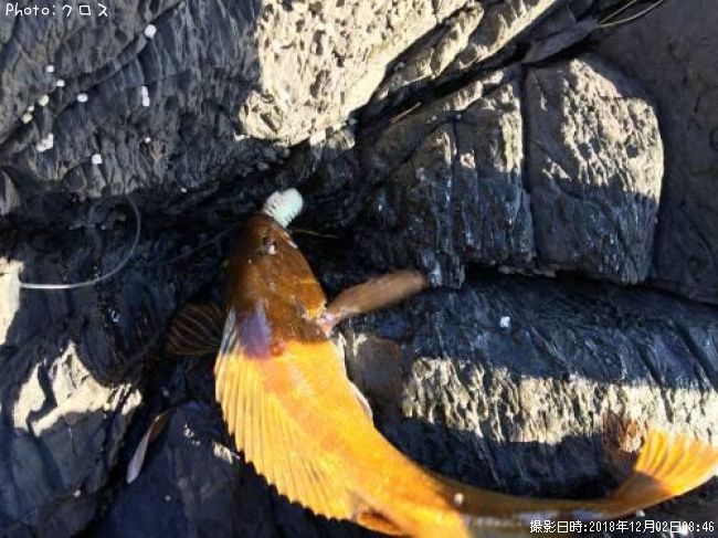 �����ʥ�