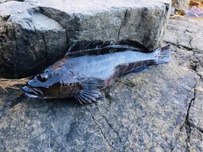 �����ʥ�