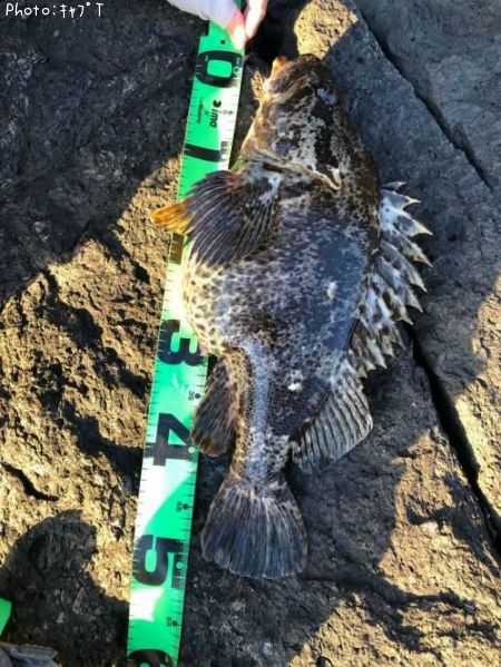 �����Υ���Х�