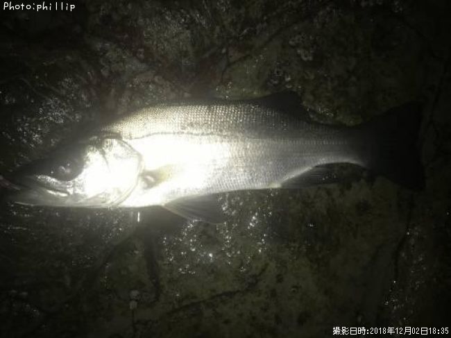 �ҥ饻����