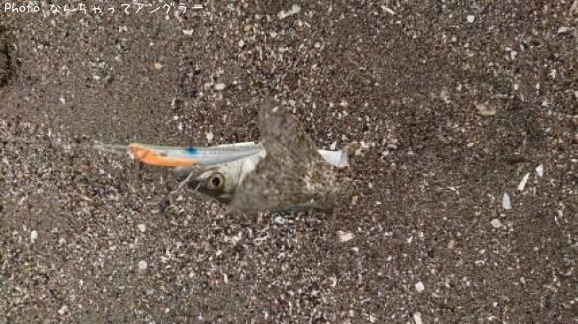 �����Х�