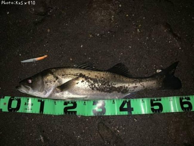 �����Х�