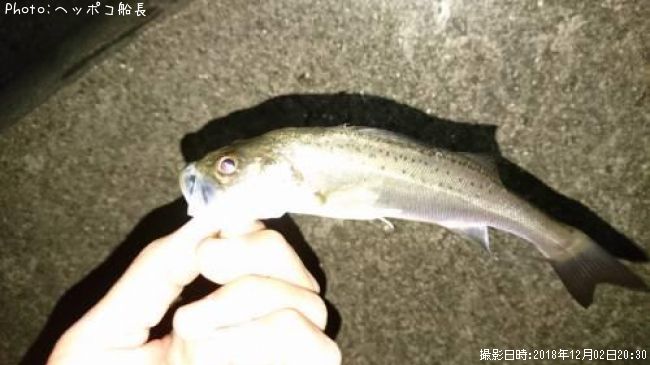 �����Х�