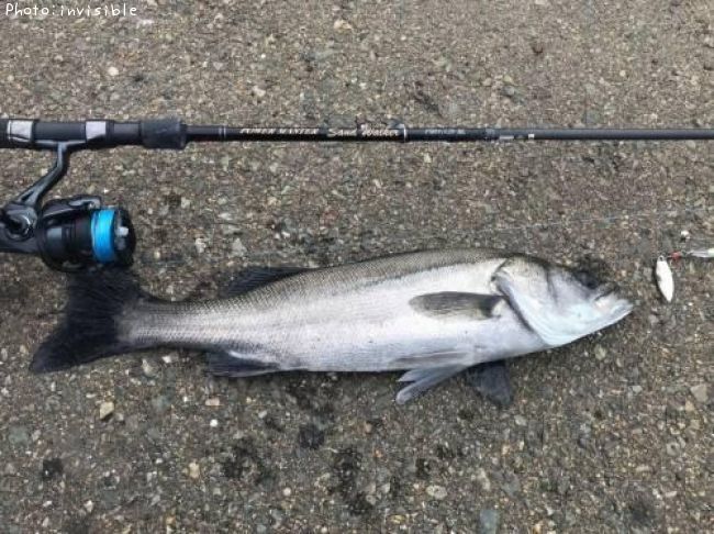 �����Х�