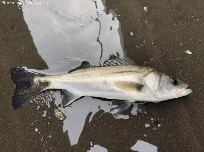 �����Х�