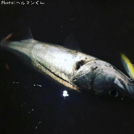 �����Х�