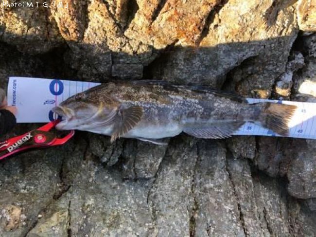 �����ʥ�