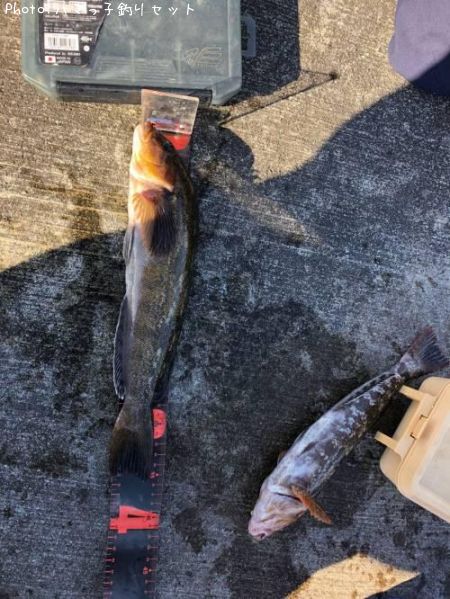 �����ʥ�