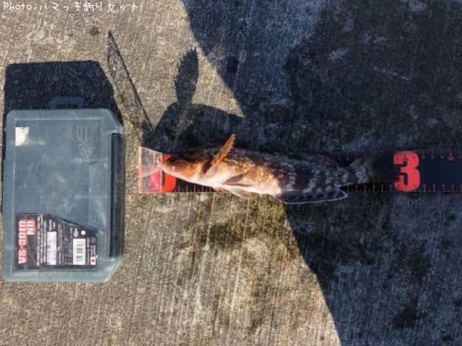 �����ʥ�