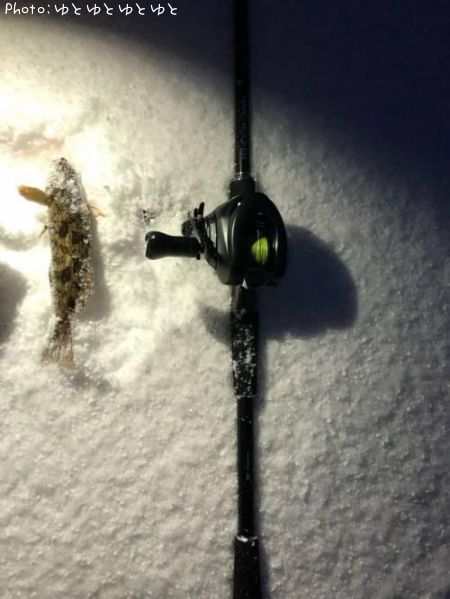 �����ʥ�