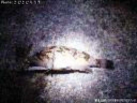 �٥å�������