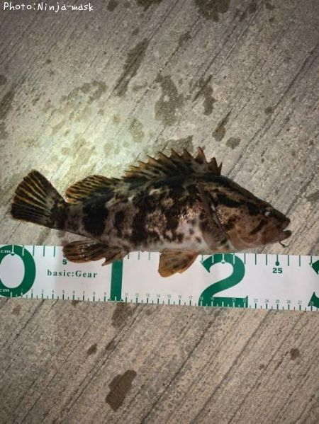 �����Υ���Х�