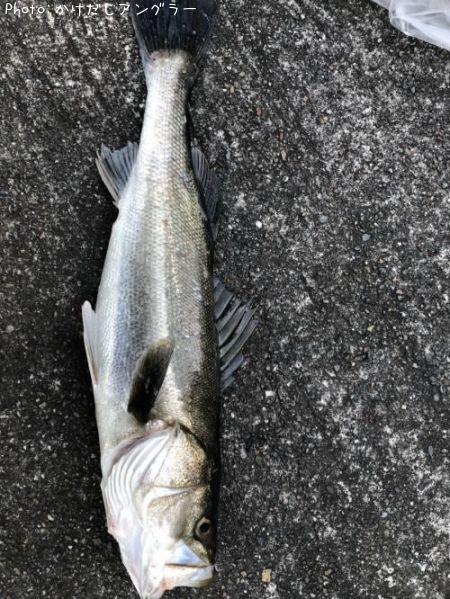 �����Х�