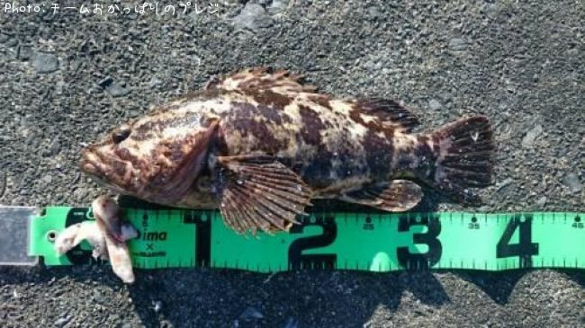 �����Υ���Х�