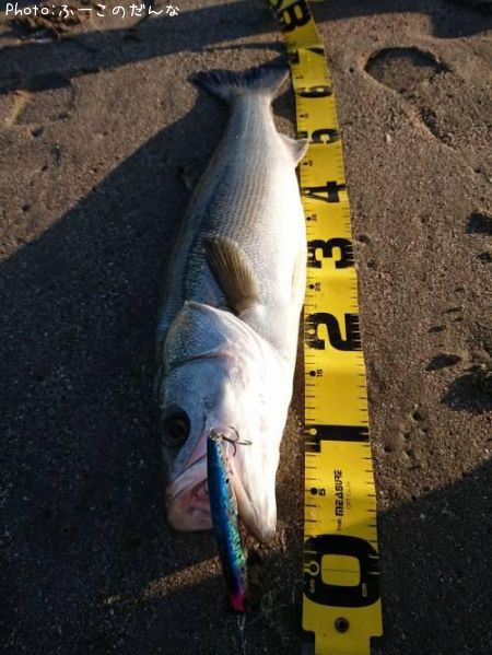 �����Х�