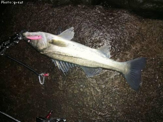 �����Х�