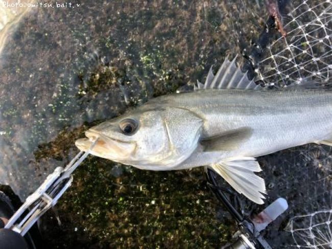 �����Х�